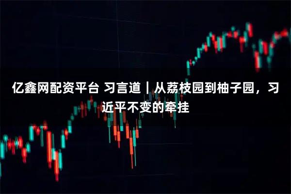亿鑫网配资平台 习言道｜从荔枝园到柚子园，习近平不变的牵挂