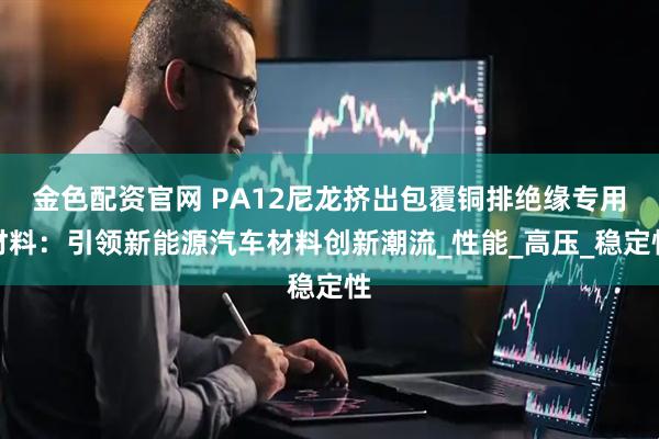 金色配资官网 PA12尼龙挤出包覆铜排绝缘专用材料：引领新能源汽车材料创新潮流_性能_高压_稳定性