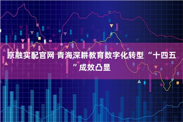 京融实配官网 青海深耕教育数字化转型 “十四五”成效凸显