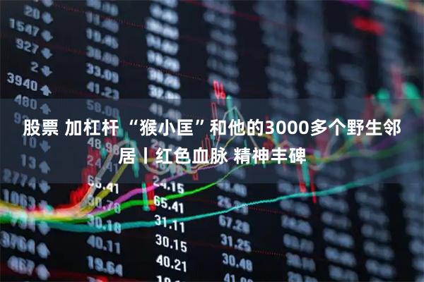 股票 加杠杆 “猴小匡”和他的3000多个野生邻居丨红色血脉 精神丰碑